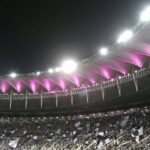 Botafogo: Torcida Faz História com Quarto Maior Público do Futebol Brasileiro em 2024 no Empate com Criciúma!