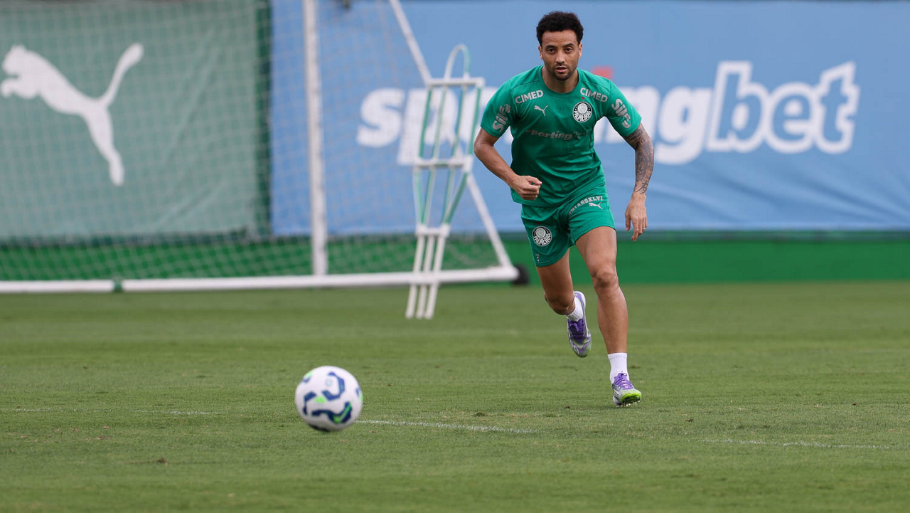 Palmeiras se Prepara para Desafio Contra o Grêmio no Brasileirão – imagem do artigo