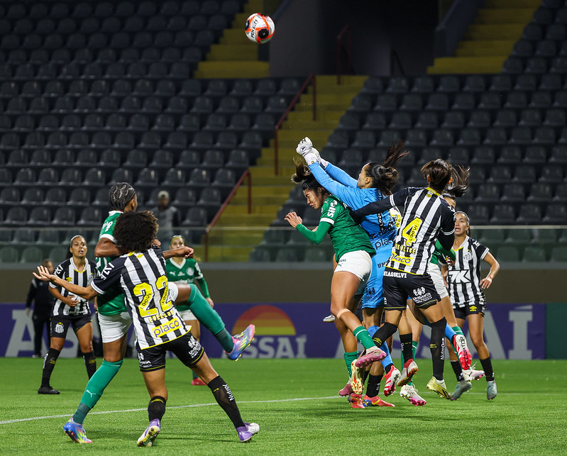 Santos e Palmeiras se Enfrentam em Clássico Decisivo no Paulistão – imagem do artigo