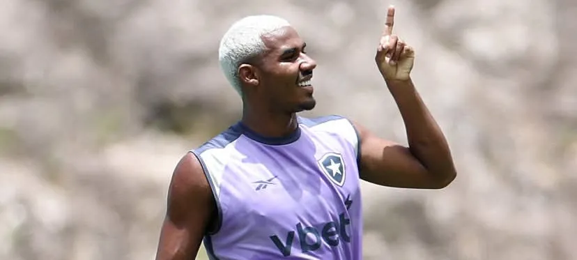 Botafogo e Grêmio: Confronto Decisivo no Brasileirão – imagem do artigo