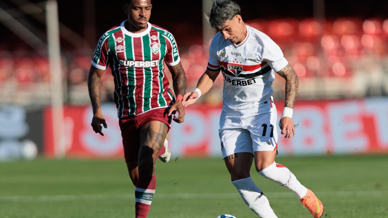 Fluminense e São Paulo se unem por adoção de cães no Maracanã – imagem do artigo