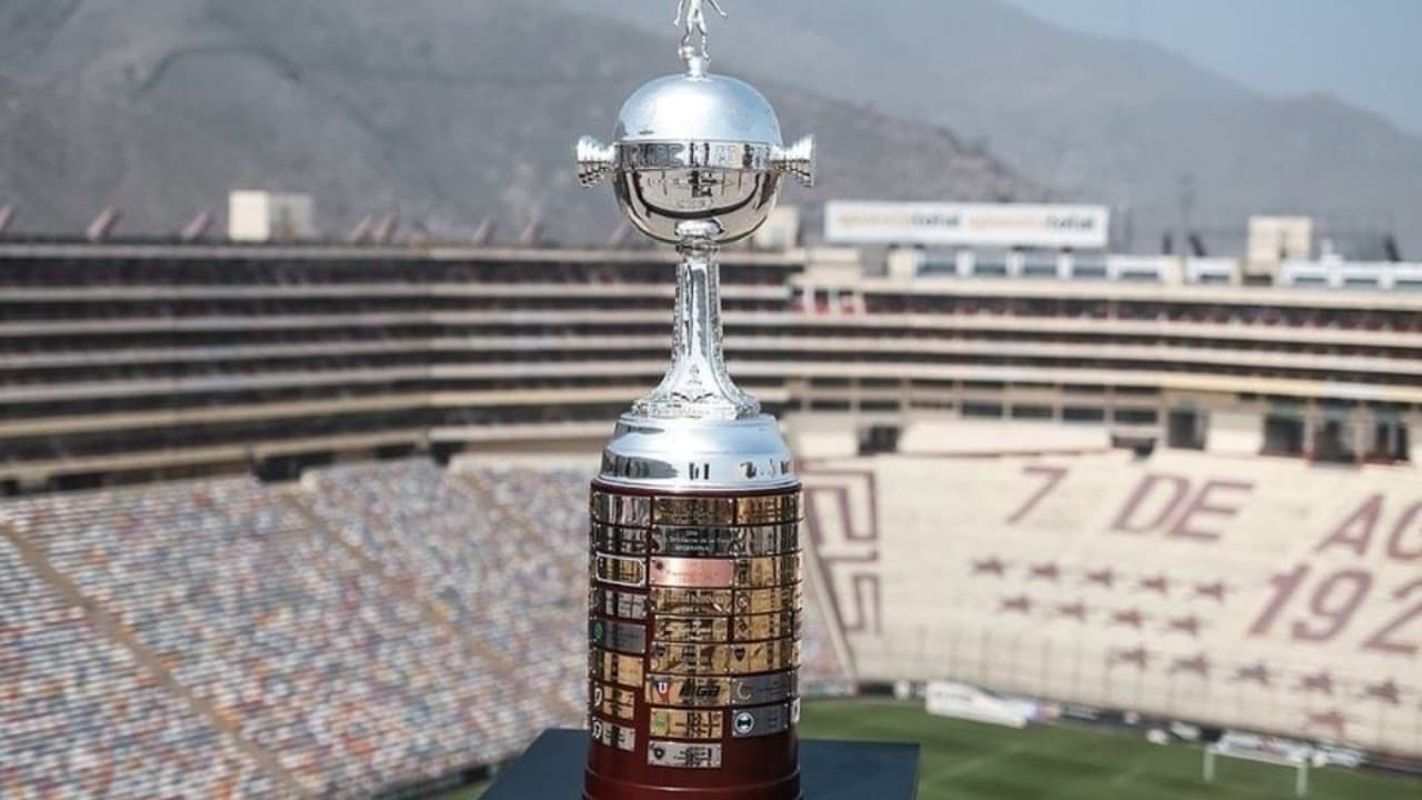 Palmeiras e Flamengo: A Grande Final da Libertadores 2025 – imagem do artigo