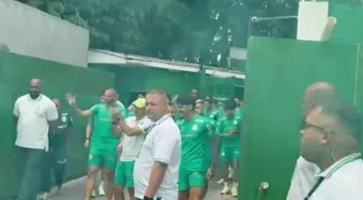Torcida do Palmeiras Faz Grande Festa Antes de Decisão da Libertadores – imagem do artigo