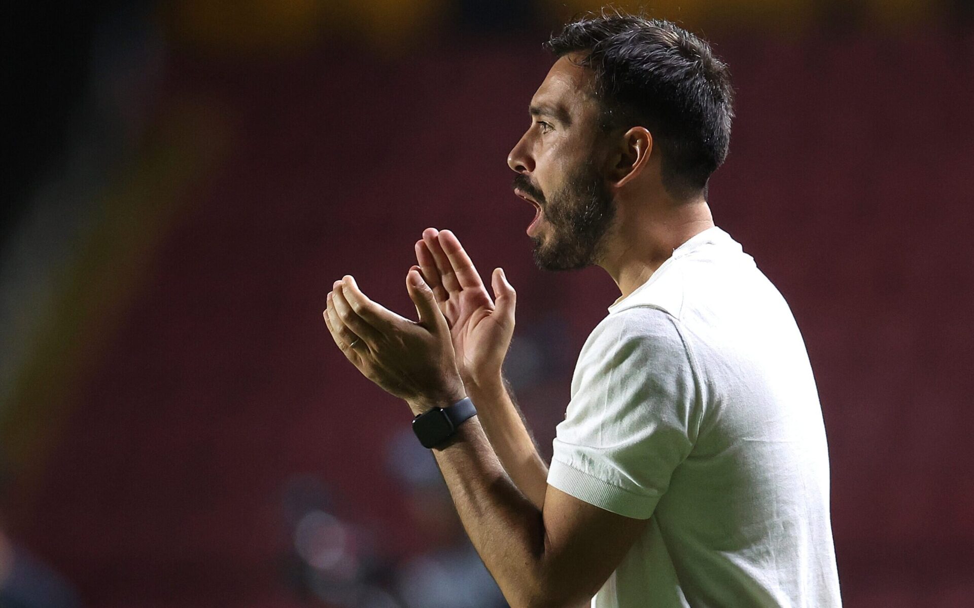 Botafogo mira vaga na Libertadores com mandos decisivos no Nilton Santos – imagem do artigo