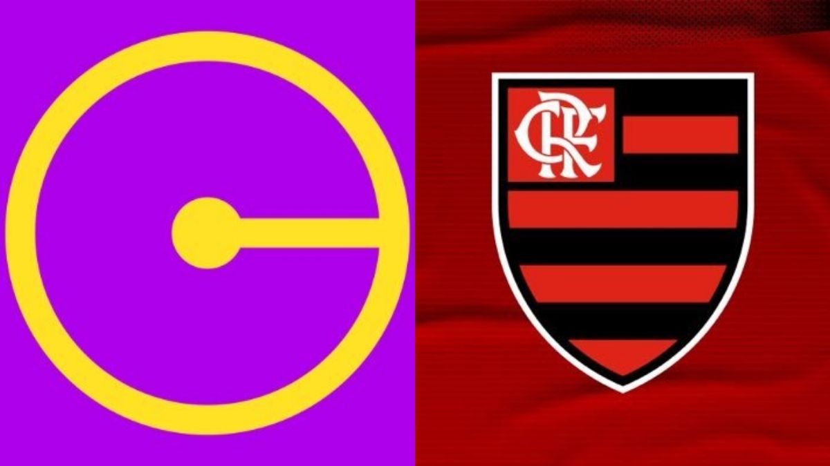 Flamengo opta por não disputar a Copinha e foca no Carioca