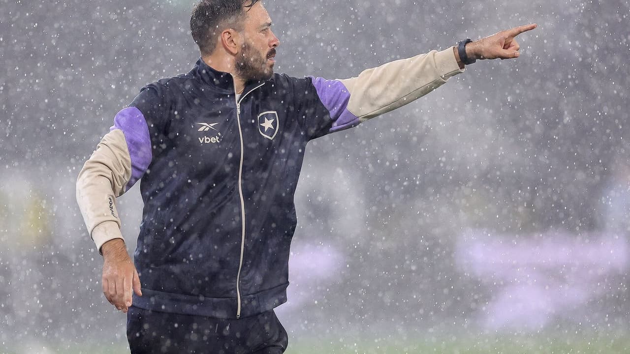 Botafogo enfrenta Grêmio e busca superar ansiedade na busca pela Libertadores – imagem do artigo