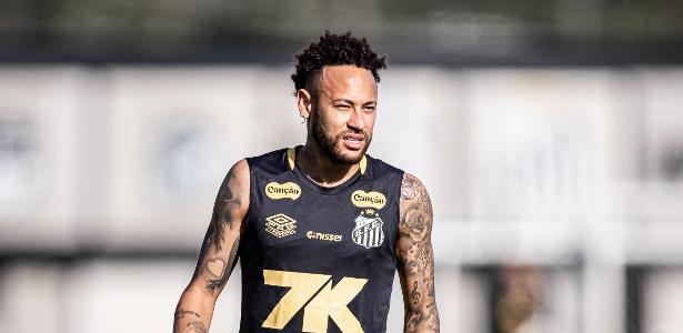 Neymar em Foco: O Desafio do Craque no Santos – imagem do artigo