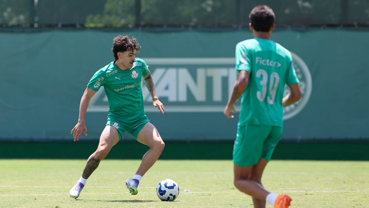 Palmeiras Encerra Temporada Contra Ceará em Jogo Decisivo – imagem do artigo