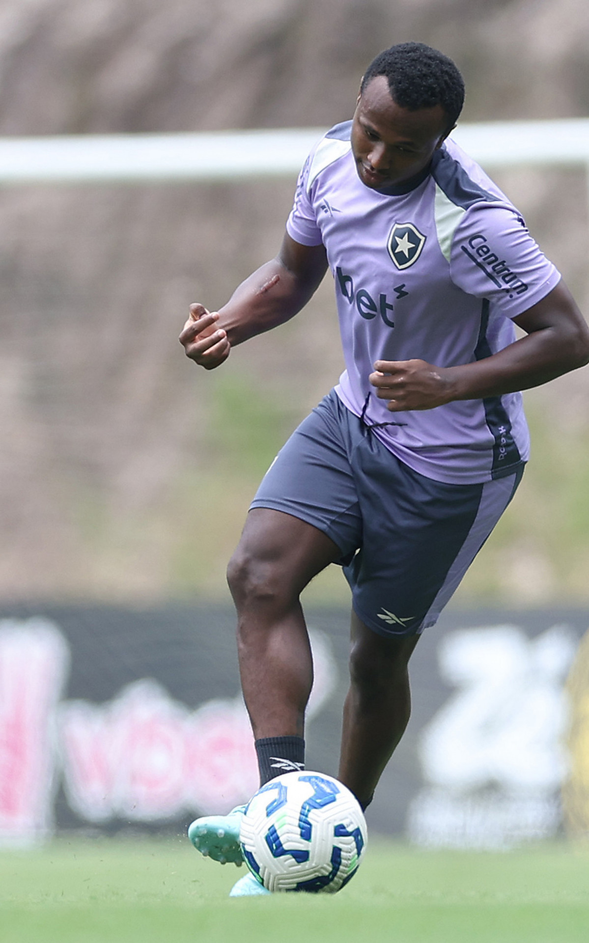 Botafogo se Reforça com Retornos Importantes para Confronto Decisivo – imagem do artigo