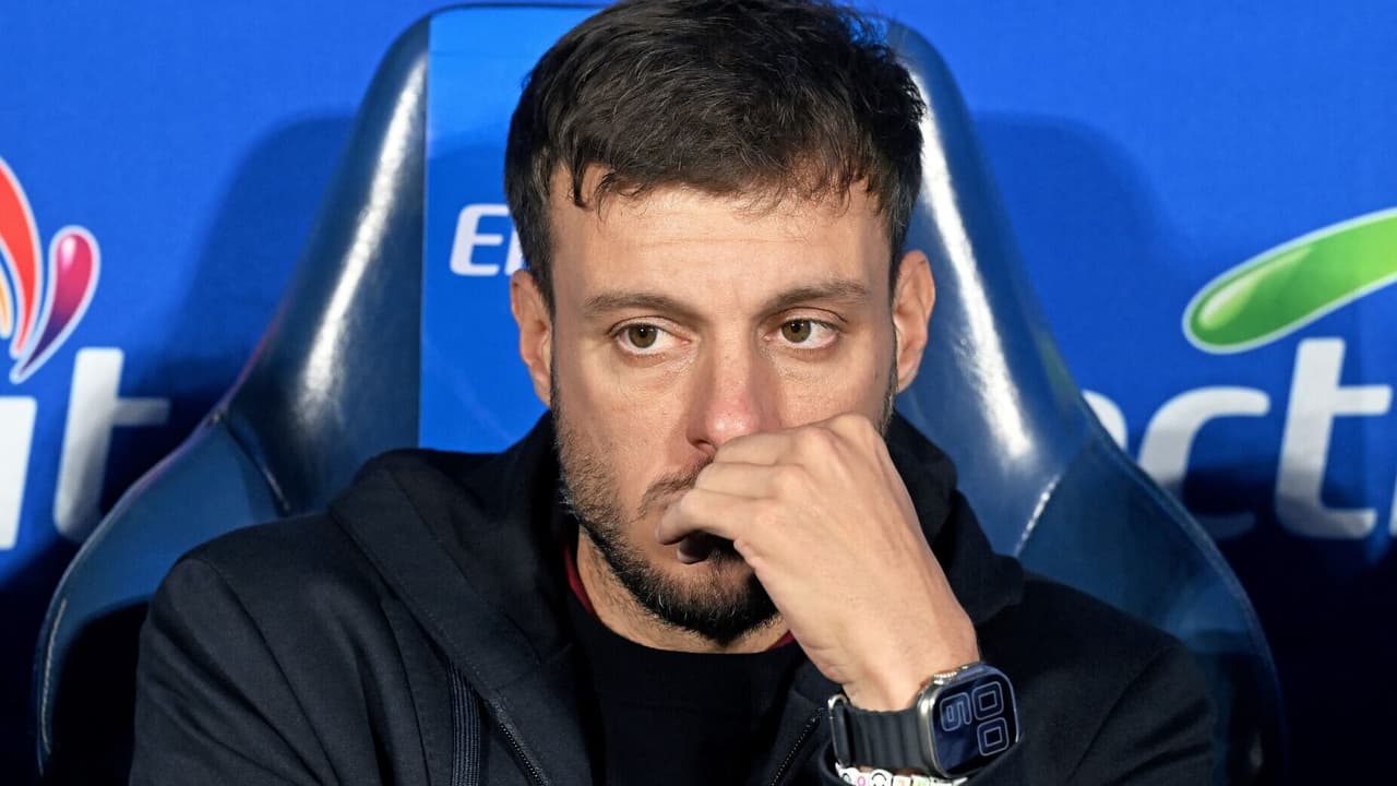 Botafogo apresenta Martin Anselmi como novo técnico e agita torcida nas redes – imagem do artigo