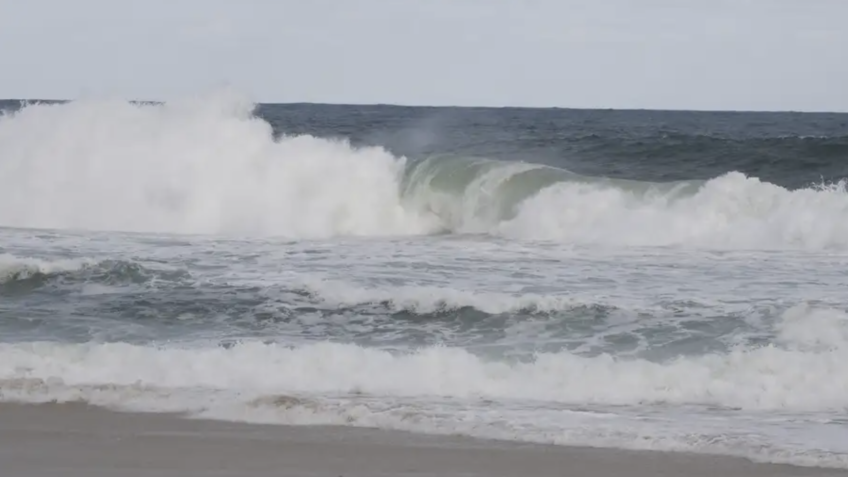 FAPESP e ANII Lançam Chamada para Fortalecer Parcerias Científicas