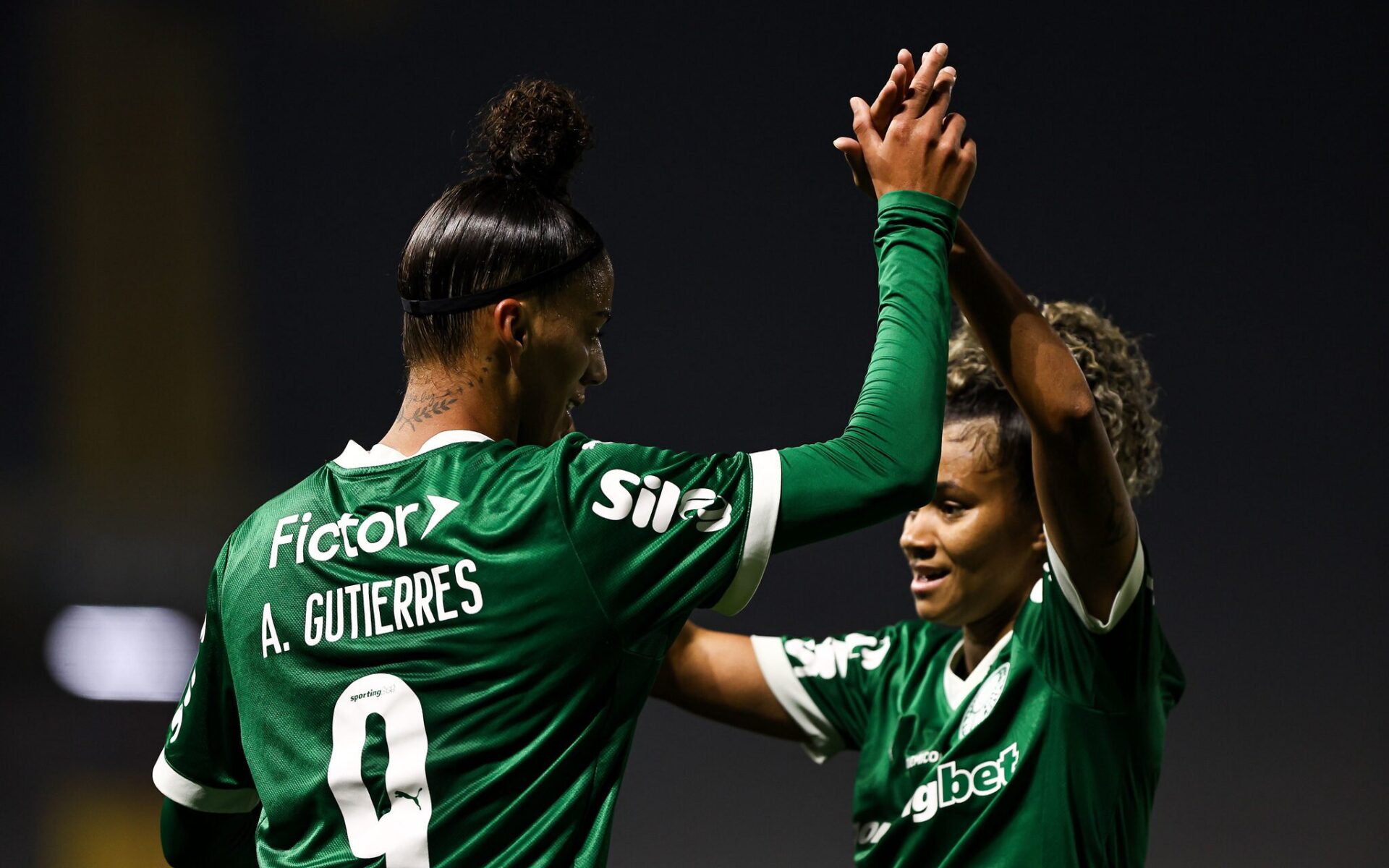 Palmeiras Feminino Rumo à Glória: Final do Paulistão Promete Emoção – imagem do artigo