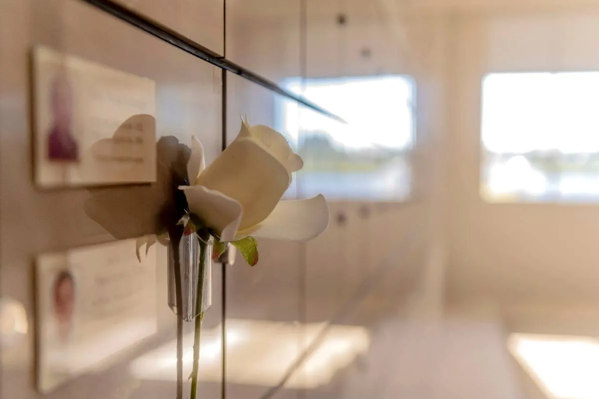 Motorista herói salva 15 pessoas antes de explosão na BR-376 – imagem do artigo