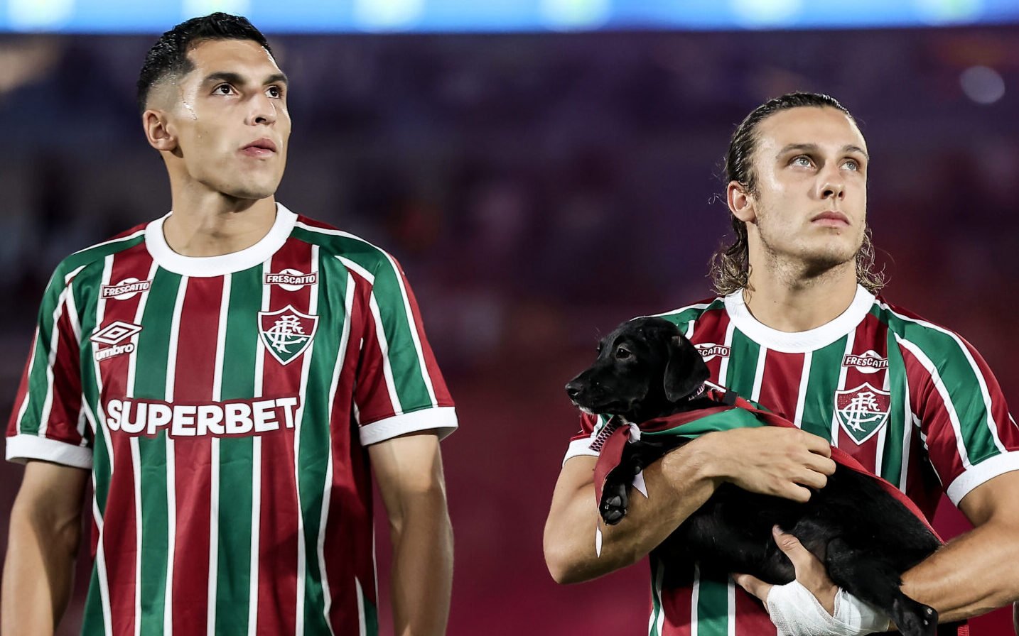 Fluminense Busca Vaga Direta na Libertadores contra o Bahia