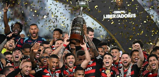 Flamengo e Palmeiras: A Dupla que Domina o Futebol Brasileiro – imagem do artigo