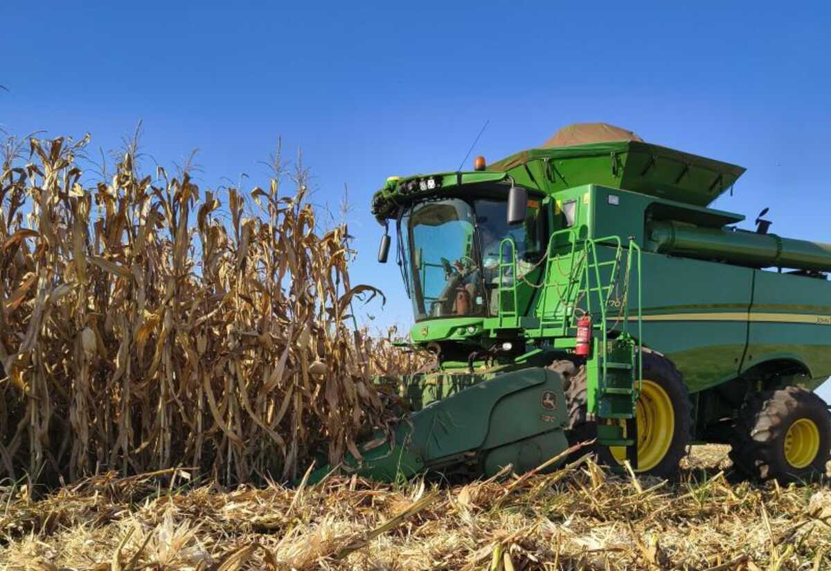 Mato Grosso do Sul se destaca no agronegócio com safra recorde e crescimento robusto – imagem do artigo