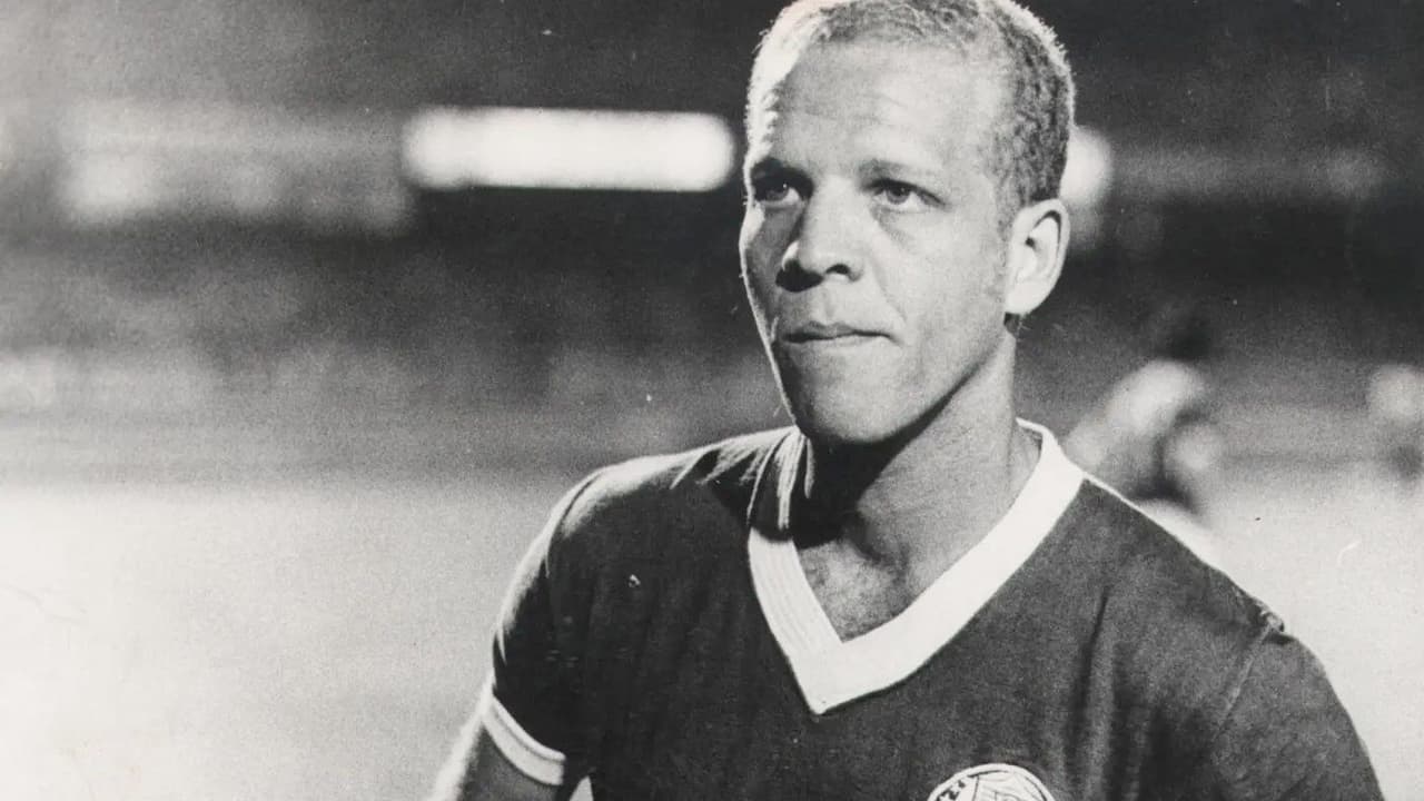 Ademir da Guia: o “Divino” que definiu a era dourada do Palmeiras