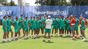 Palmeiras acelera preparação para o Paulistão com novidades no elenco – imagem do artigo