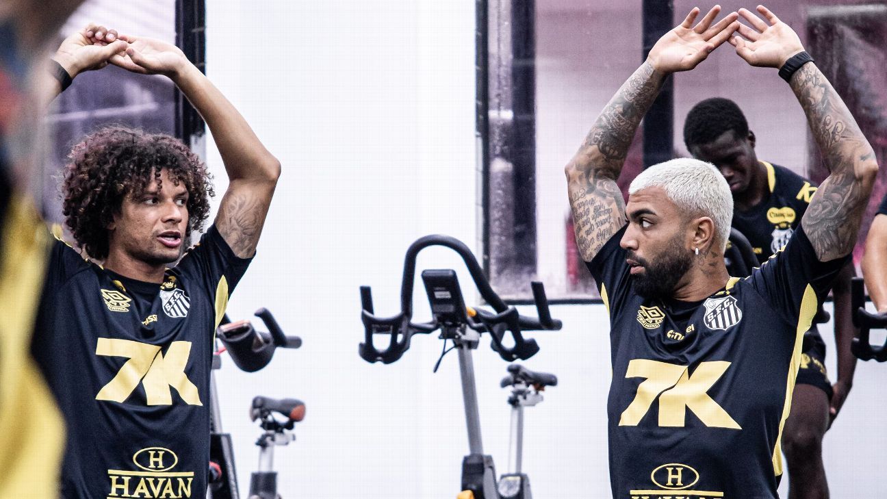 Gabigol e Arão: a amizade que reacende o Santos para o Paulistão – imagem do artigo