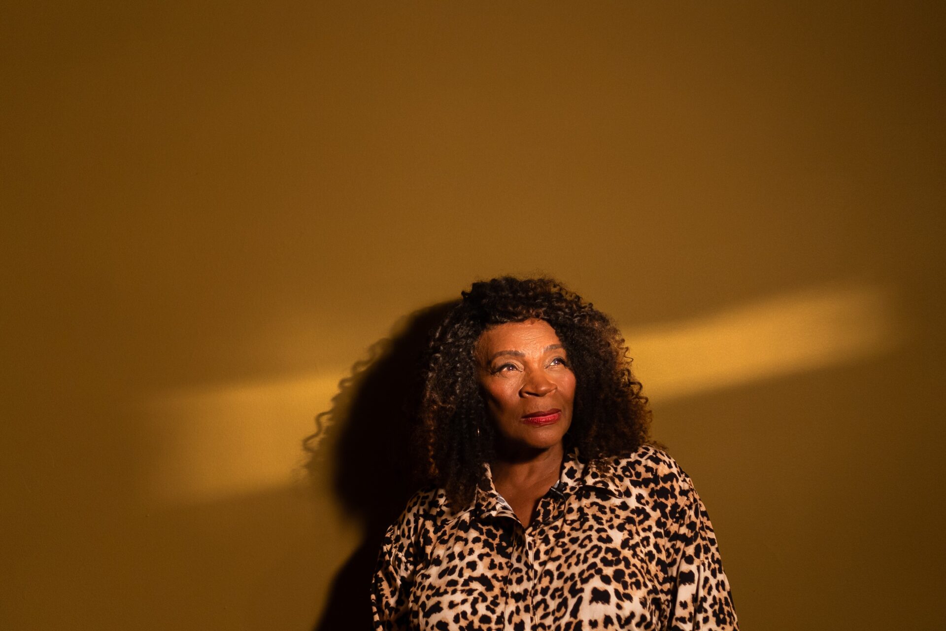 Musical “Prazer, Zezé” revive carreira brilhante de Zezé Motta nos palcos – imagem do artigo