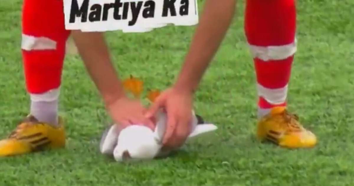 Goleiro acerta gaivota em jogo decisivo na Turquia e capitão salva a ave em campo – imagem do artigo