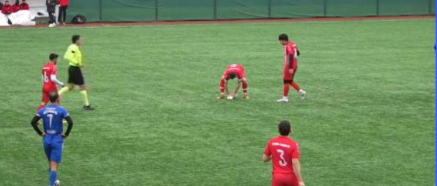 Jogador amador salva gaivota com massagem cardíaca e viraliza nas redes