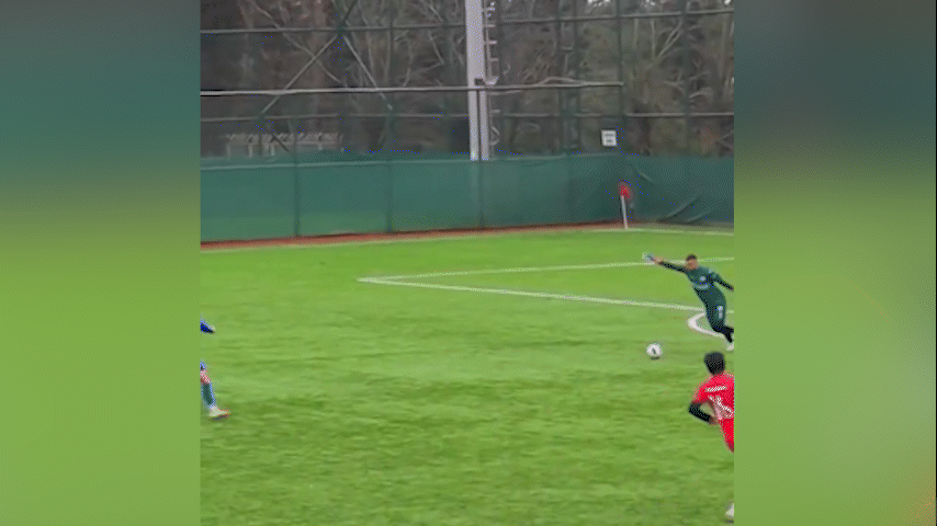 Goleiro acerta gaivota durante jogo e capitão tenta salvar ave em campo – imagem do artigo