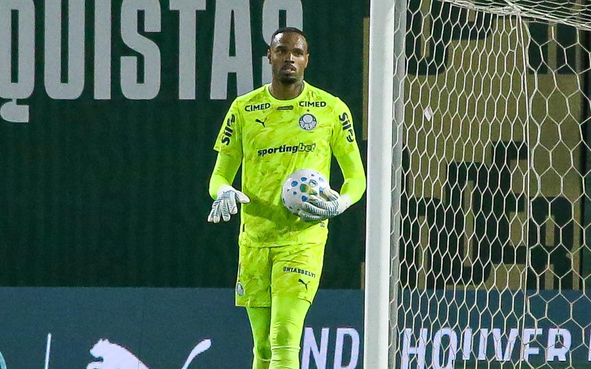 Palmeiras supera Fluminense por 2 a 1 e segue firme na liderança do Brasileirão – imagem do artigo