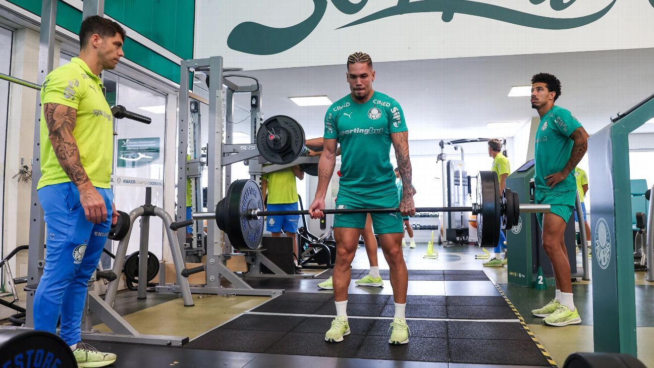 Palmeiras recebe boas notícias na recuperação de Paulinho e Felipe Anderson – imagem do artigo