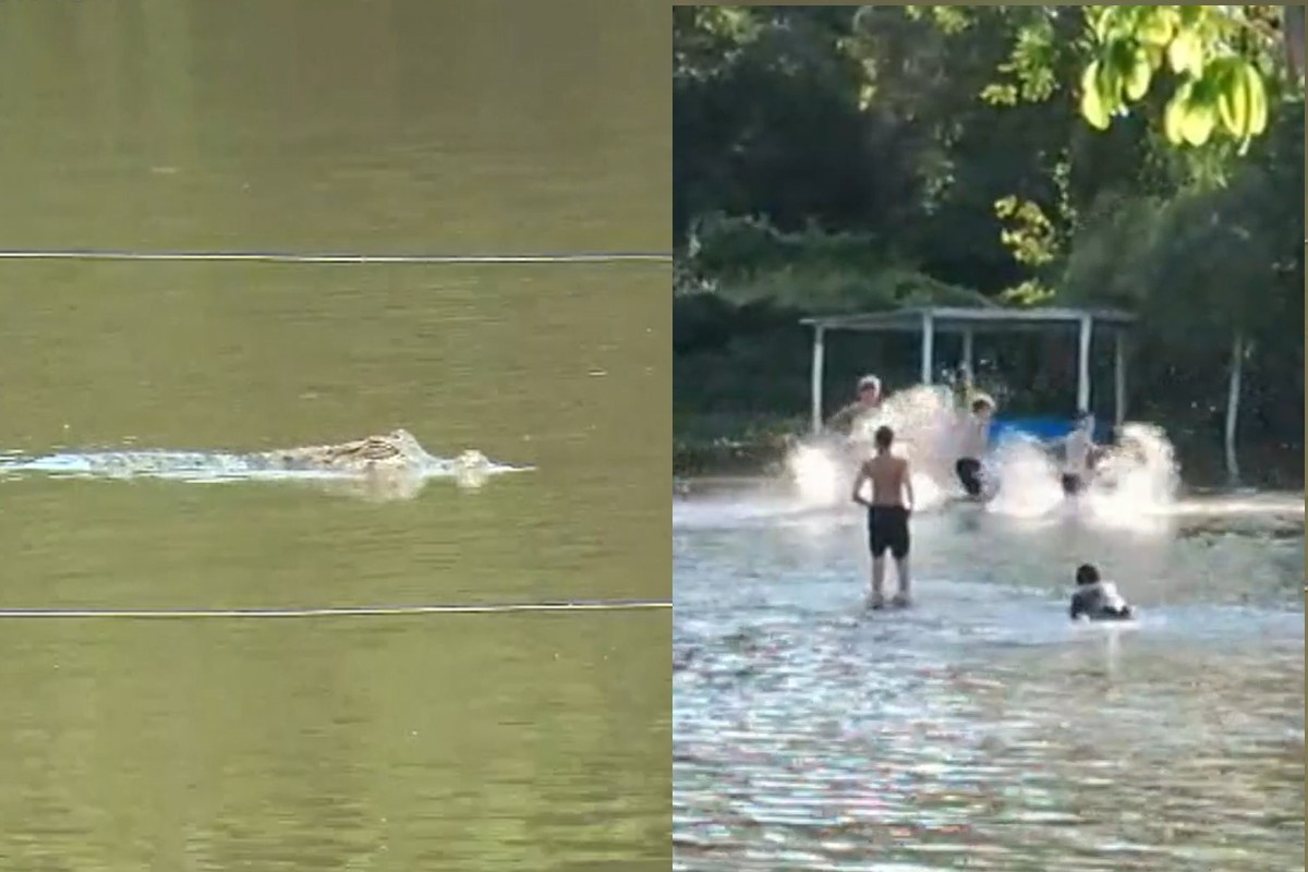 Jacaré invade campo de futebol após enchente em Aquidauana e mobiliza moradores – imagem do artigo