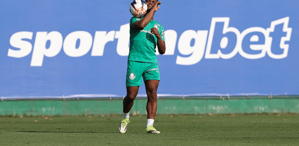 Arias inicia treinos no Palmeiras e PVC comenta polêmica sobre racismo em jogo – imagem do artigo