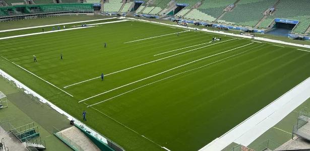 Allianz Parque ganha novo gramado e Palmeiras se prepara para estreia em março – imagem do artigo