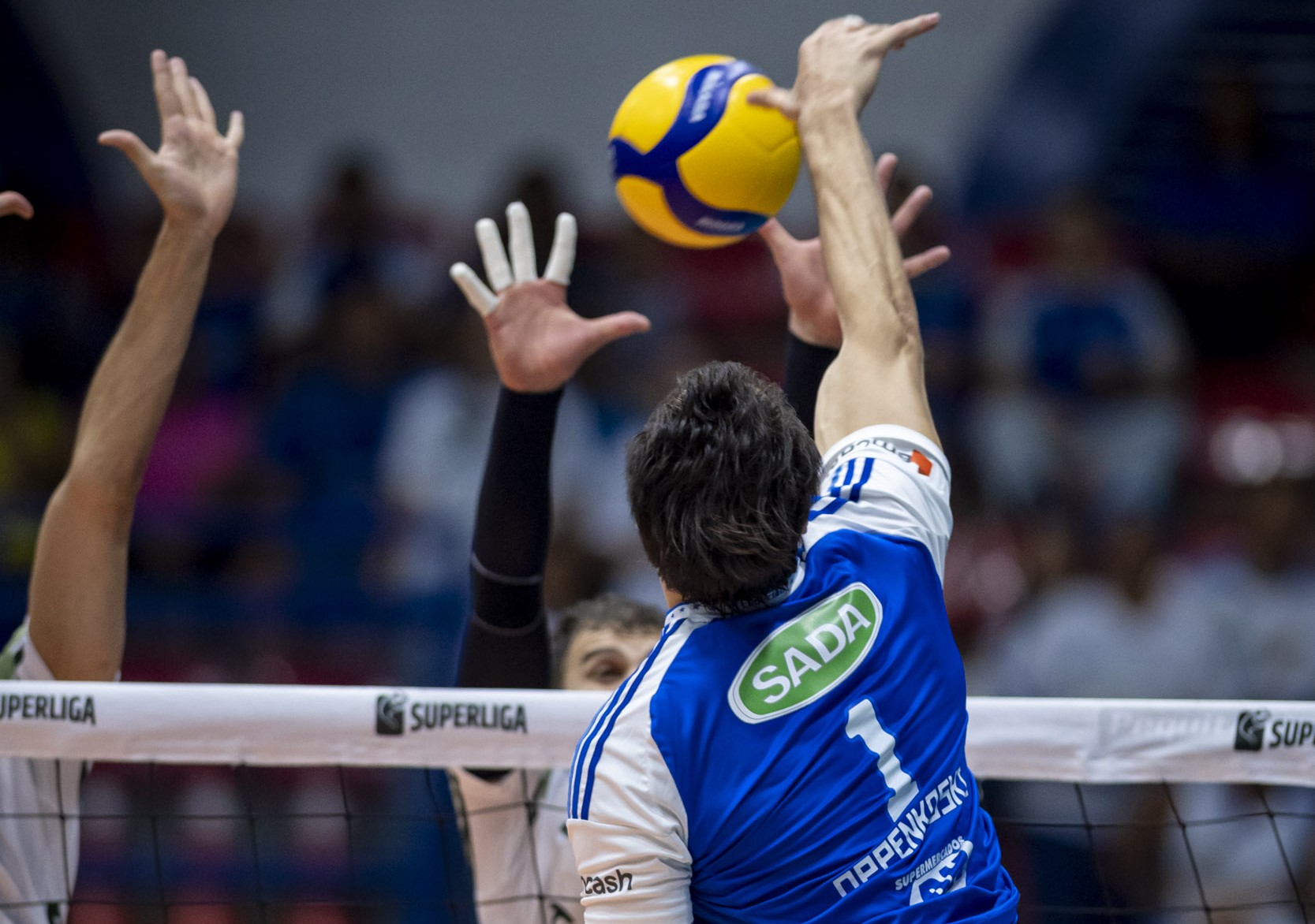 Sada Cruzeiro intensifica treinos para reta final da Superliga e mira título da Copa Brasil