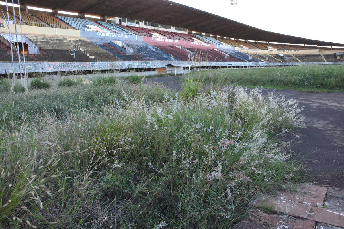 Antonelli brilha no GP do Japão e Gabriel Bortoleto enfrenta dificuldades em Suzuka