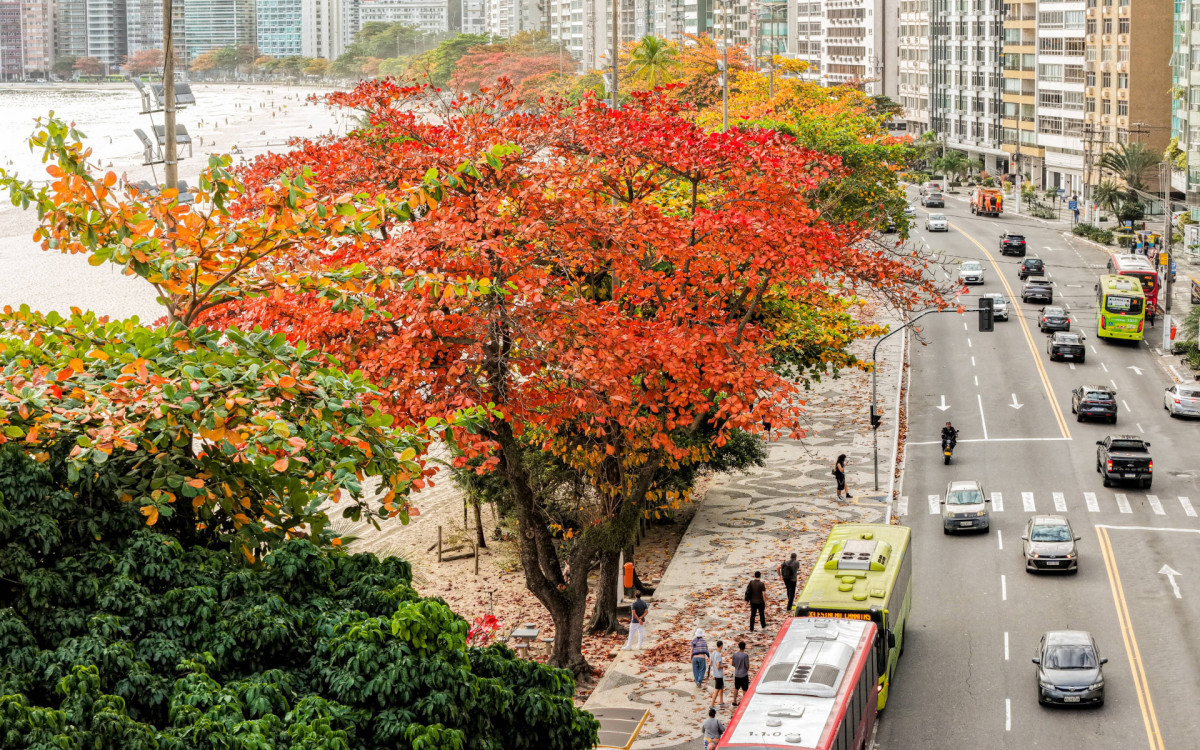 Niterói conquista selo internacional por quinto ano seguido graças à política ambiental – imagem do artigo