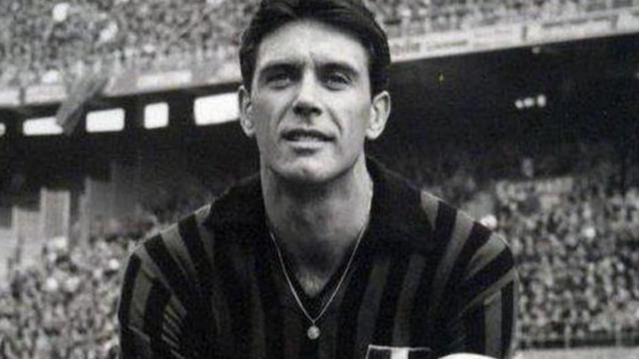 País e filho na Copa do Mundo: histórias que atravessam gerações no futebol – imagem do artigo