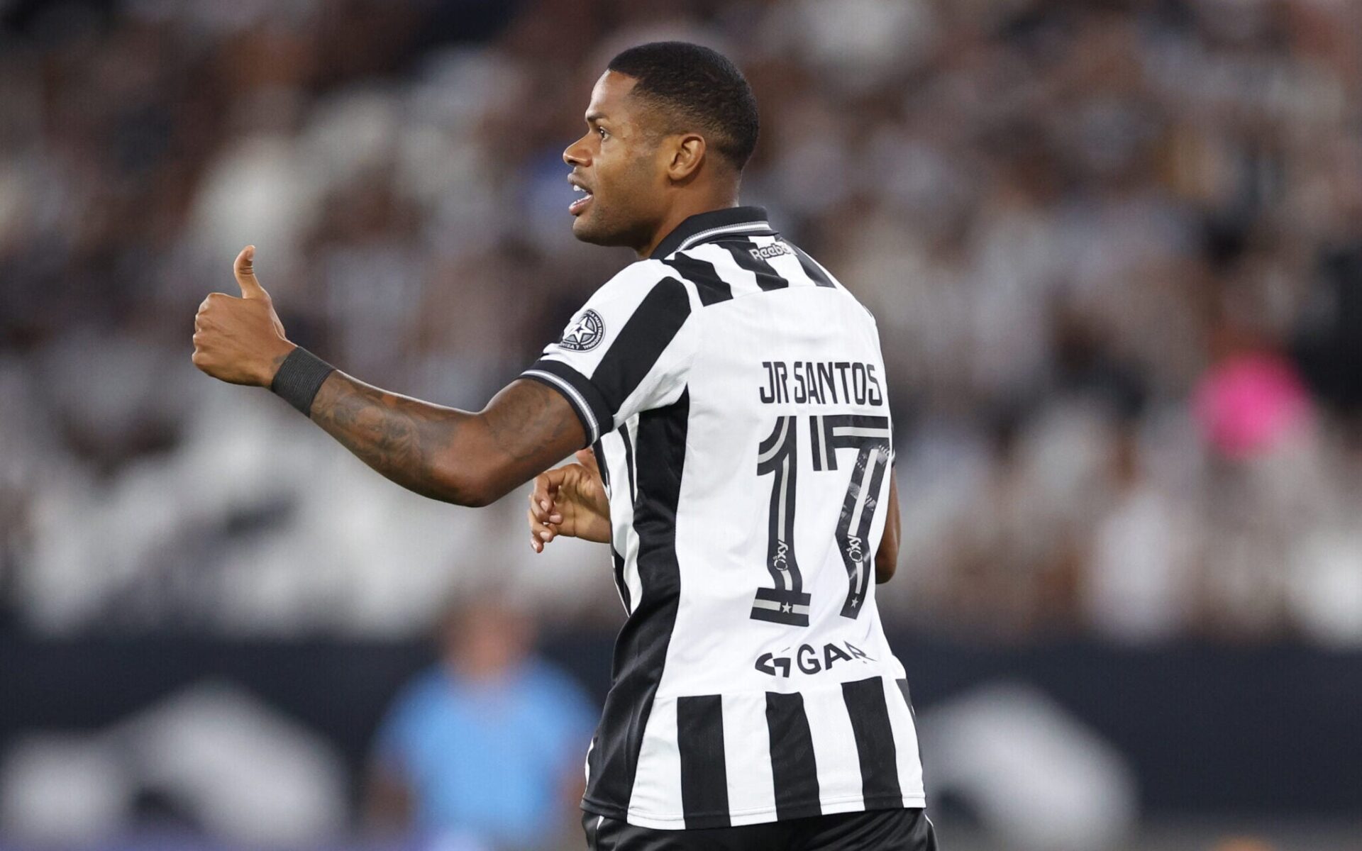 Botafogo fecha janela de 2026 com reforços pontuais e aposta em elenco equilibrado