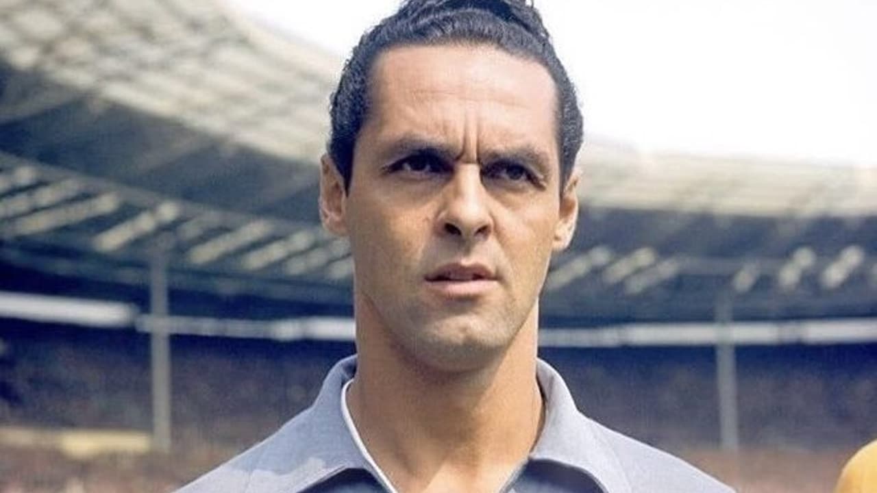 Gilmar no Corinthians: A Lenda do Goleiro que Fez História nos Anos 50 – imagem do artigo