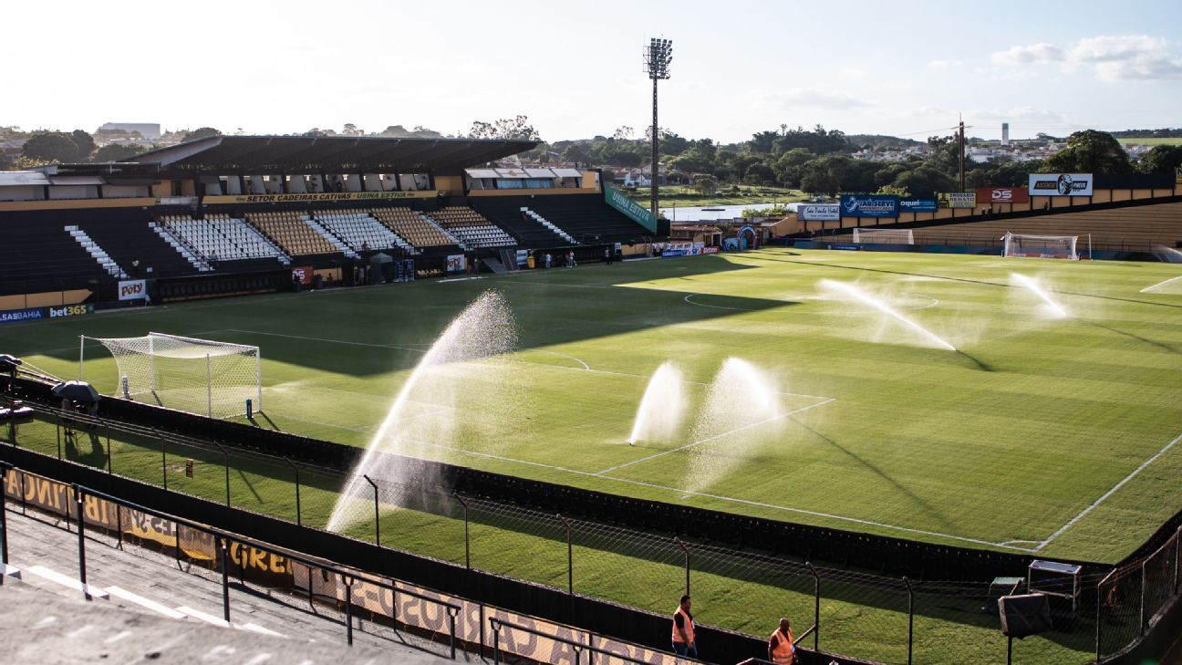 Palmeiras pode conquistar o Paulistão com empate contra Novorizontino; saiba tudo sobre a final