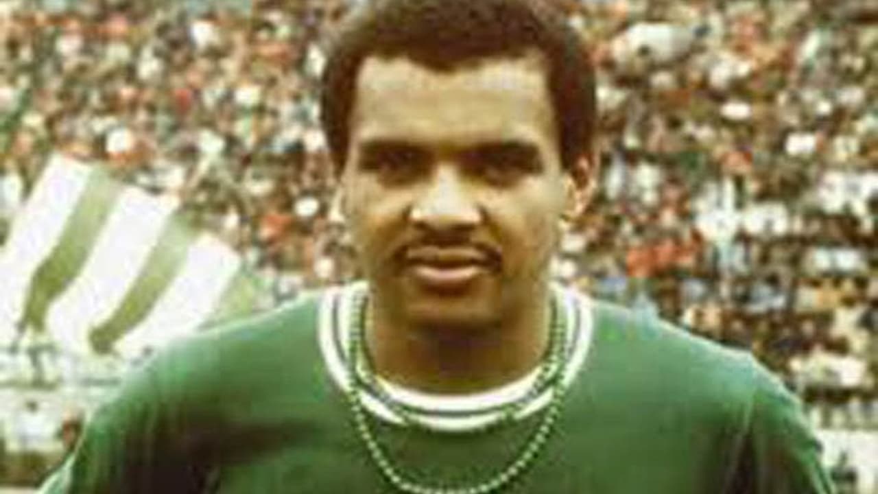 Luís Pereira: A Lenda da Zaga que Fez História no Palmeiras