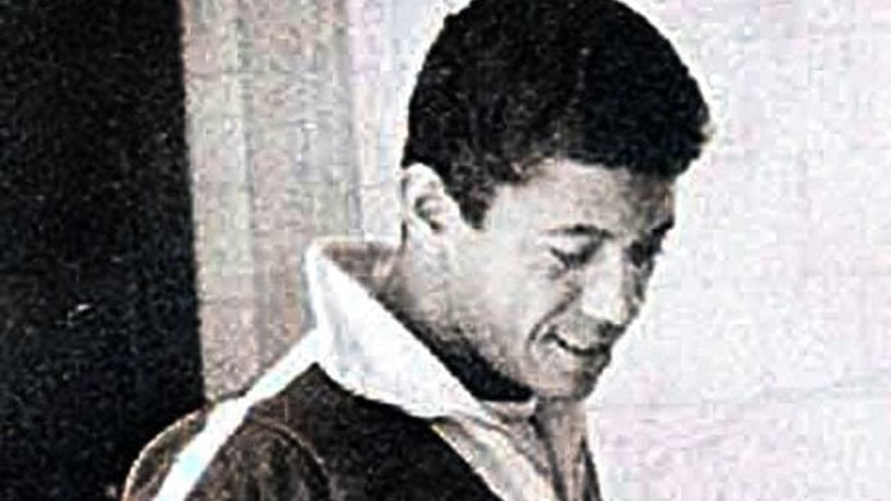 Amarildo no Botafogo: a lenda que brilhou na era dourada do clube