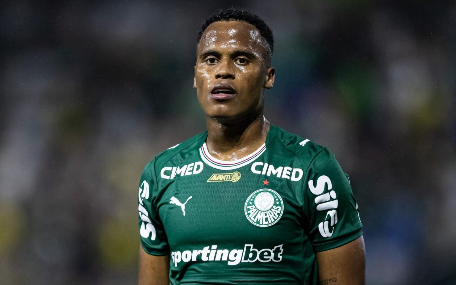 Palmeiras elimina São Paulo e garante vaga na final do Paulistão com lance polêmico – imagem do artigo