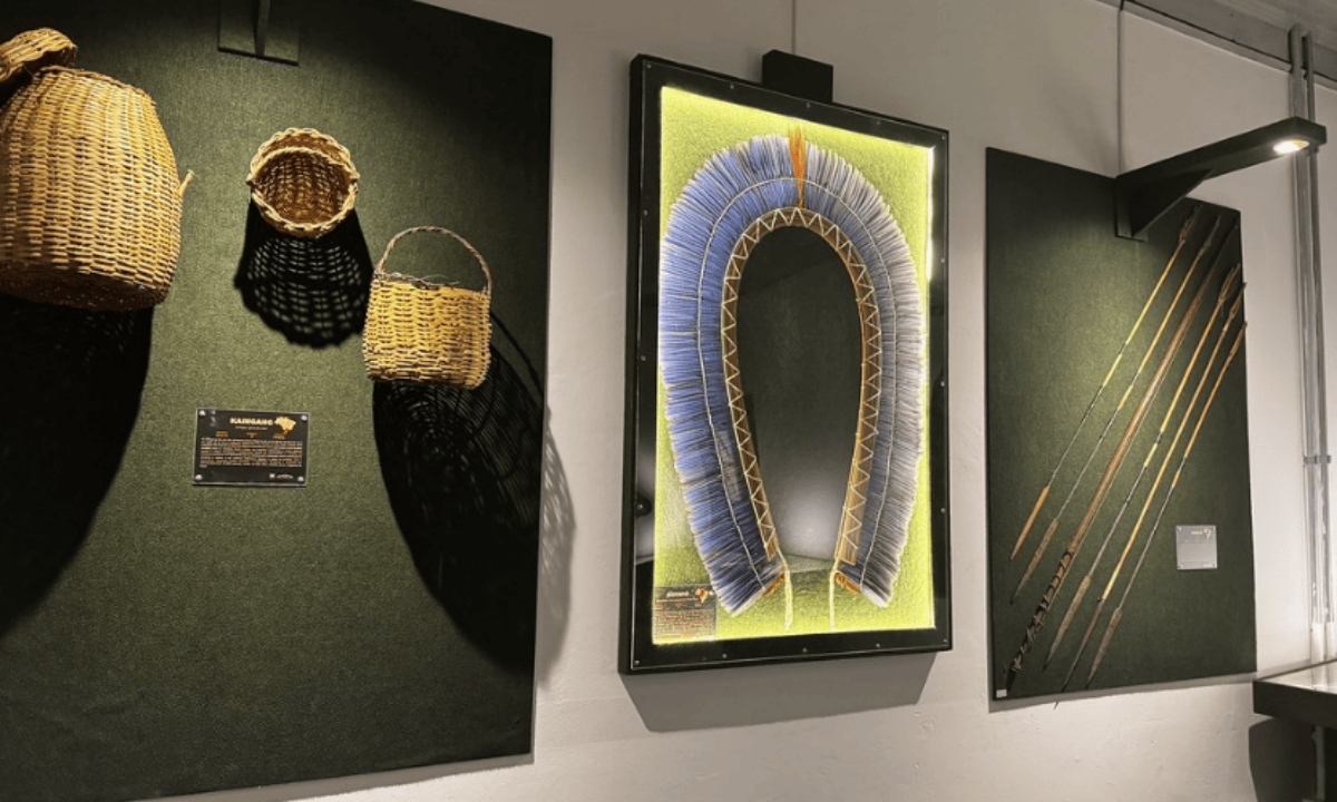 Exposição no Jardim Botânico de São Paulo celebra culturas indígenas com mais de 800 peças – imagem do artigo