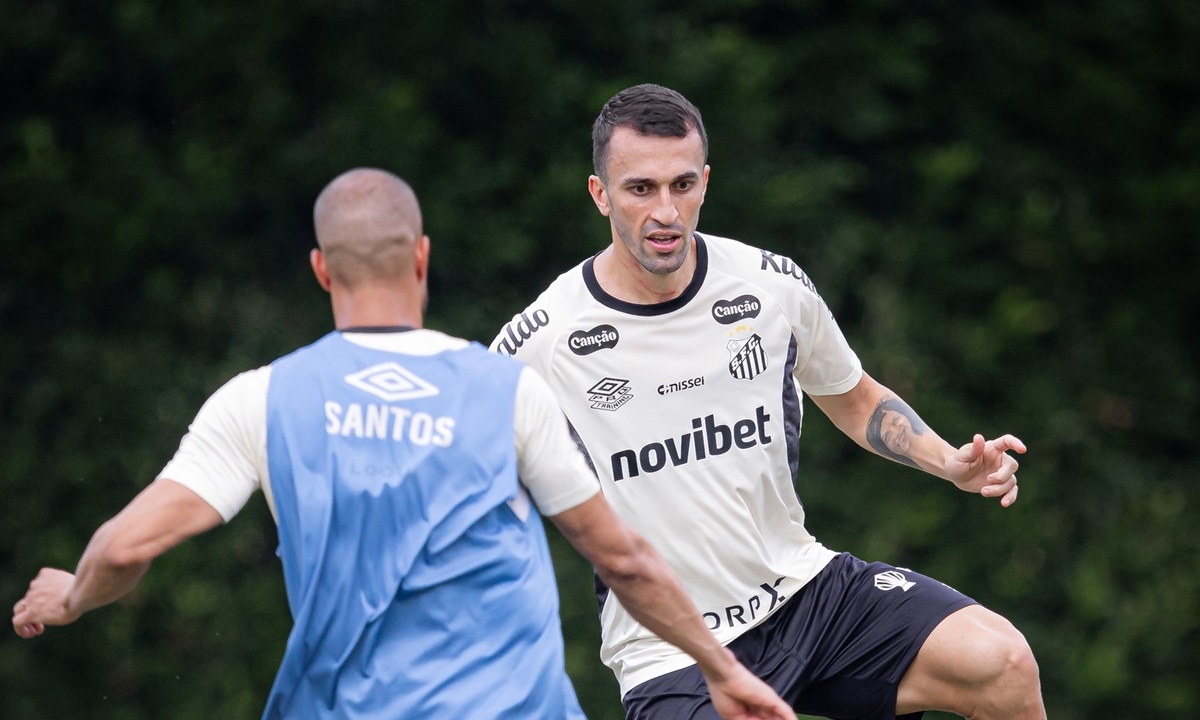 Santos encara Fluminense na Vila Belmiro em busca de recuperação no Brasileirão