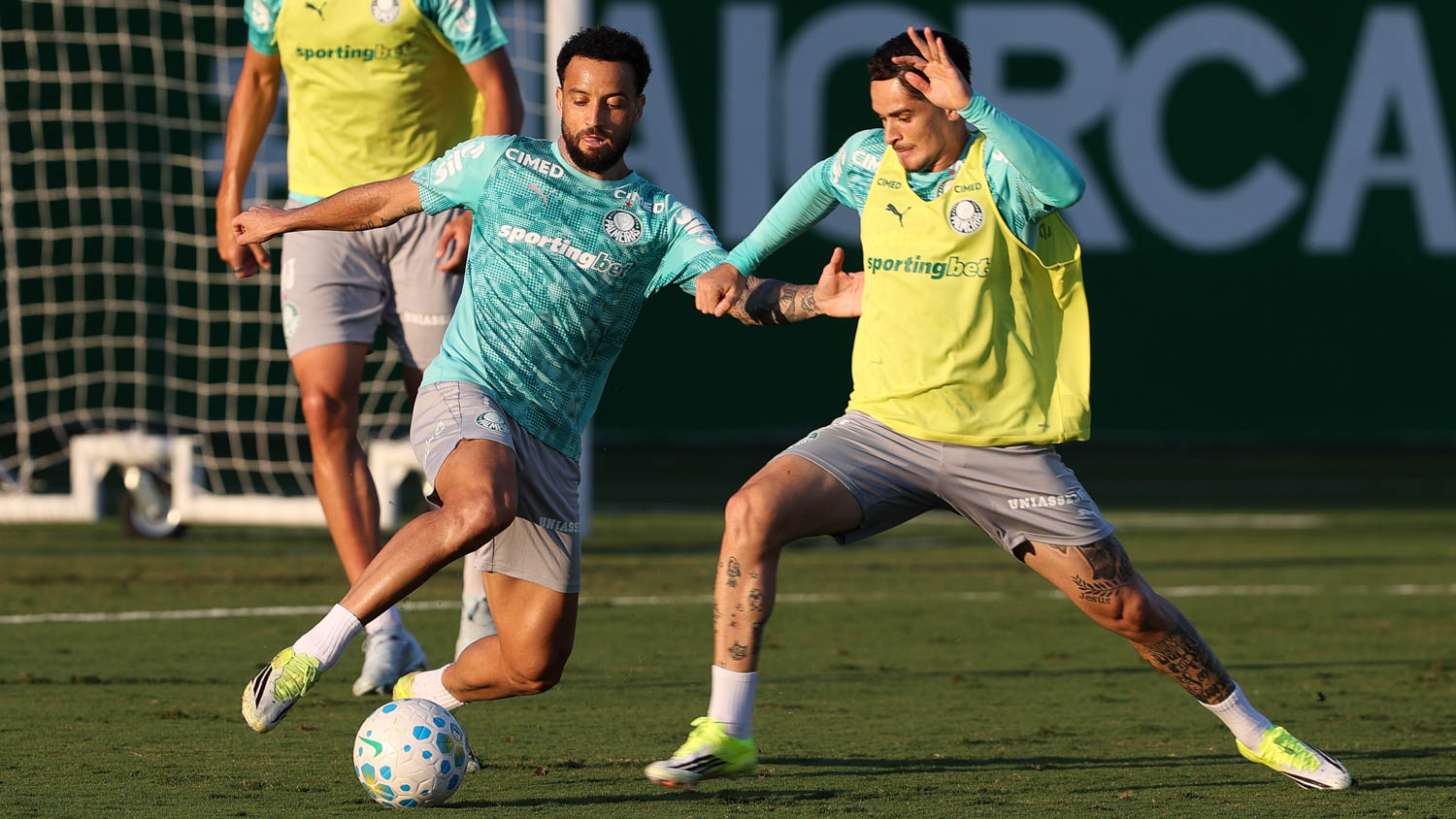 Palmeiras se prepara para duelo decisivo contra Jacuipense pela Copa do Brasil