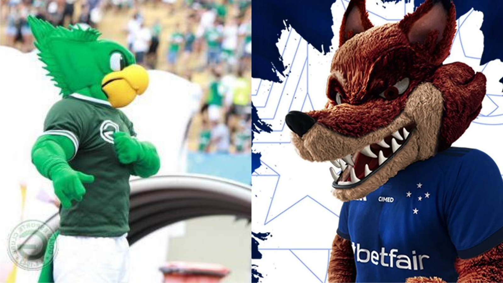 Goiás e Cruzeiro se enfrentam em duelo decisivo pela Copa do Brasil