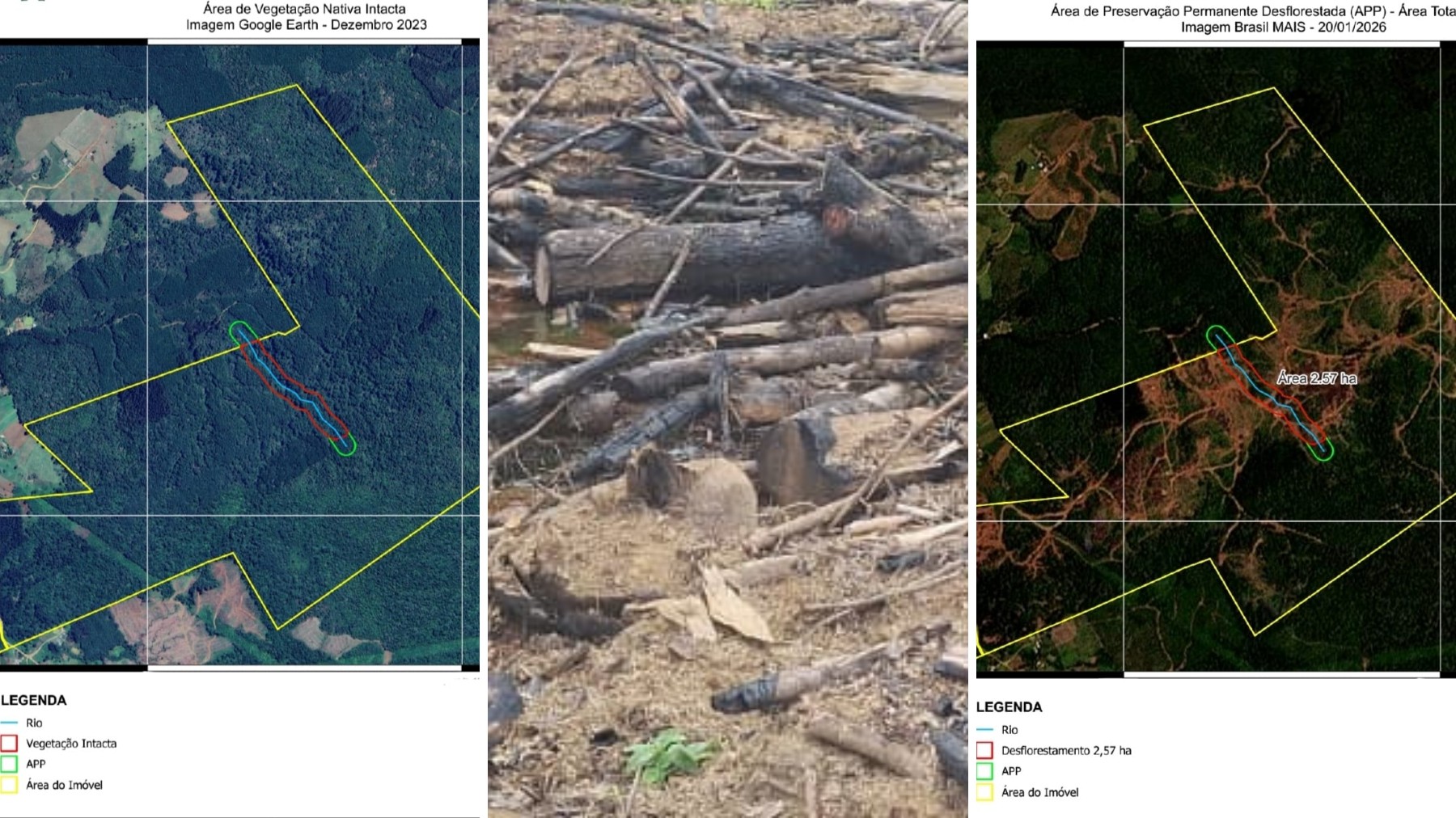 Desmatamento ilegal em área protegida do Paraná gera multa de R$ 90 mil