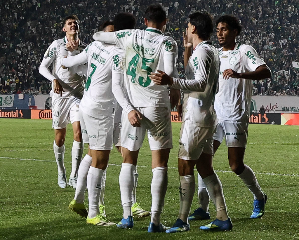 Palmeiras garante vaga nas oitavas da Copa do Brasil e mantém série invicta – imagem do artigo