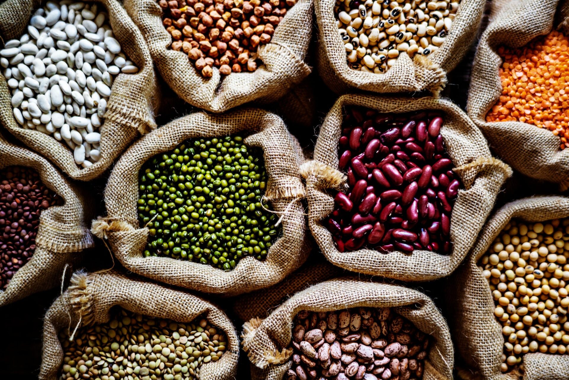 Consumo de leguminosas e soja reduz risco de hipertensão, revela estudo global