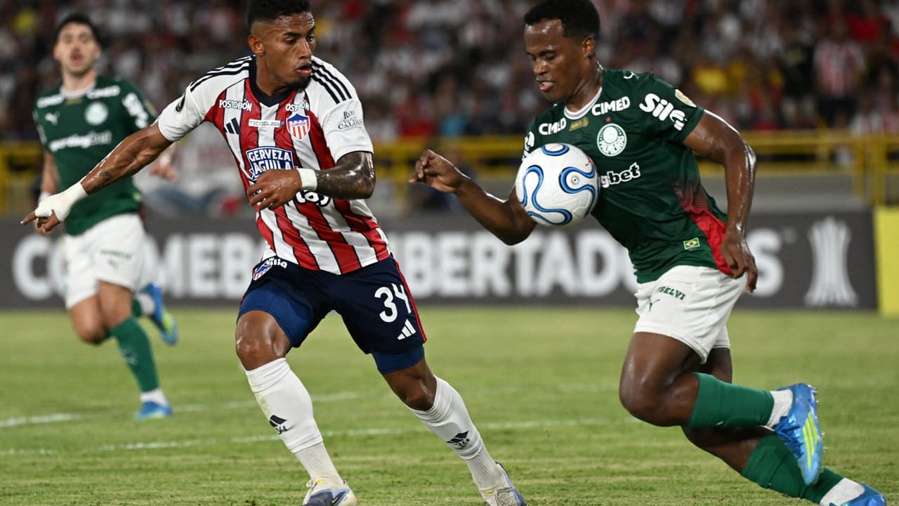 Palmeiras mira vaga nas oitavas da Libertadores antes da pausa para a Copa do Mundo